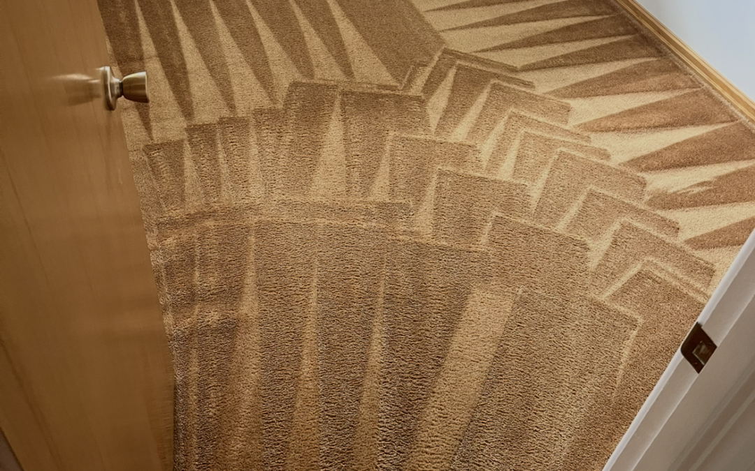A Decade of Dirt Undone: Carpet Renewal in Calgary, AB