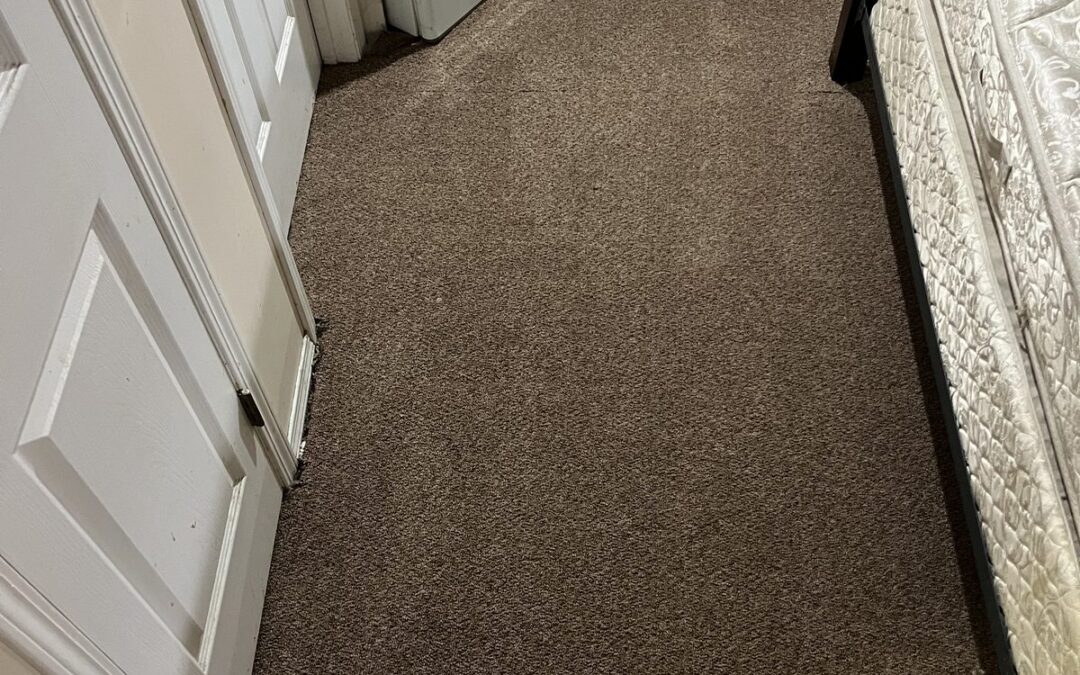 Calgary, AB Carpet Cleaning: How We Revived Troy’s Basement Traffic Lane