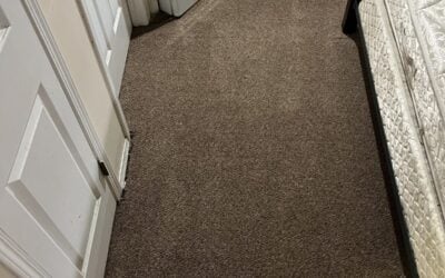 Calgary, AB Carpet Cleaning: How We Revived Troy’s Basement Traffic Lane