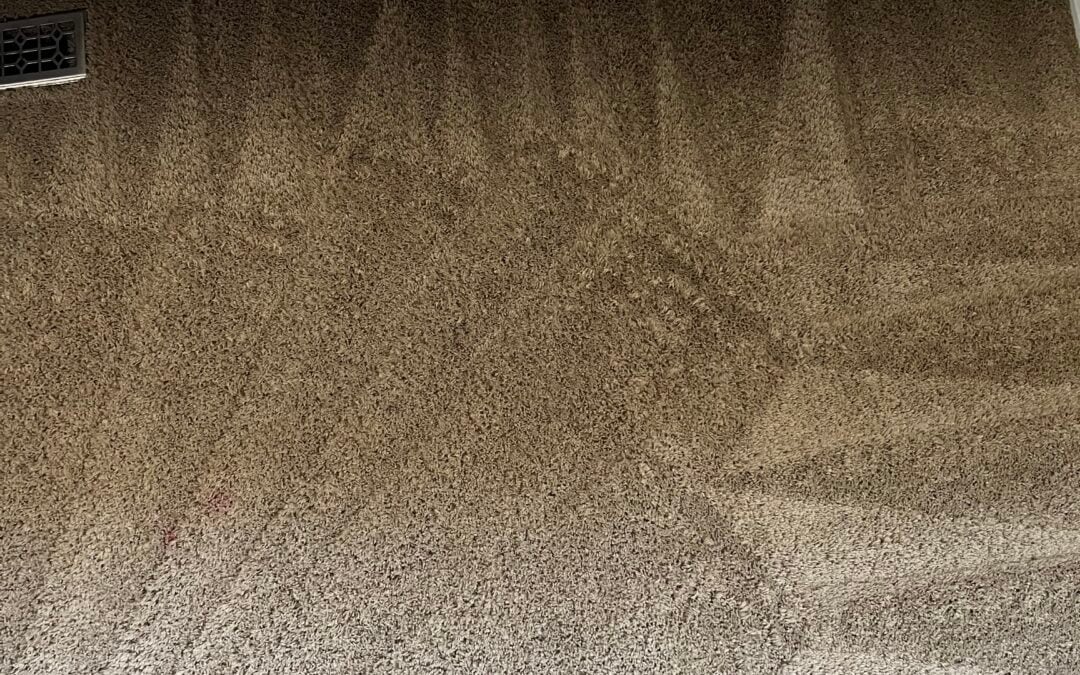 Calgary Makeup Stain Rescue: Carpet Revival Success Story