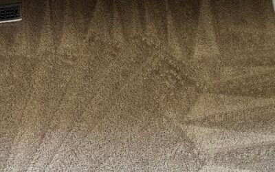 Calgary Makeup Stain Rescue: Carpet Revival Success Story