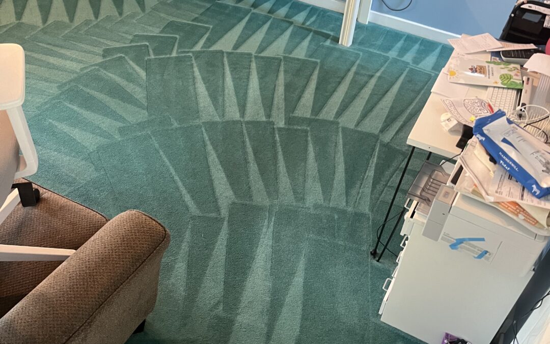 Calgary Carpet Rejuvenation: TJ’s Carpets Shine Again