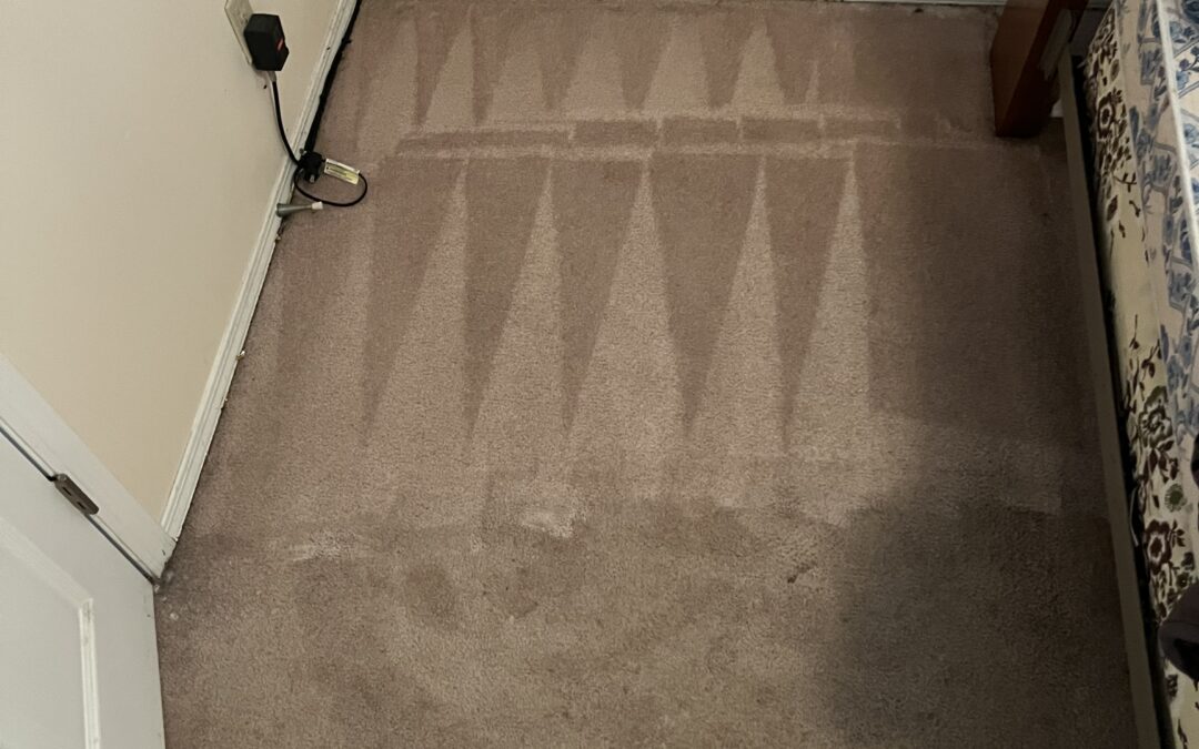 Kids’ Room Carpet Revival Saves the Day in Calgary, AB