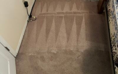 Kids’ Room Carpet Revival Saves the Day in Calgary, AB