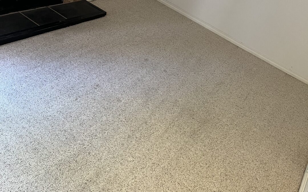Basement Carpet Revival in Calgary, AB — Sandra’s Stunning Turnaround